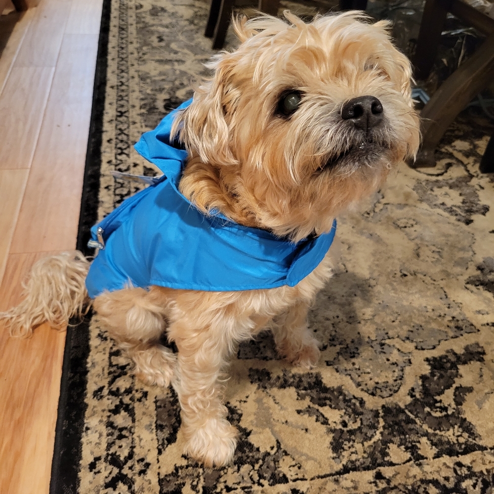 2x Host Pick 🤩🐕🥰 Blue Doggo Rain Jacket M